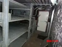 लॉन्गलाइनर बिक्री के लिए