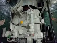 लॉन्गलाइनर बिक्री के लिए