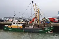 Trawler बेचने के लिए