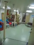 गश्ती नाव बिक्री के लिए