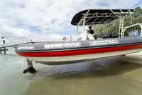 उभयचर बिक्री के लिए