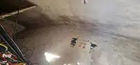 डाइव सपोर्ट बिक्री के लिए