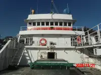 लॉन्गलाइनर बिक्री के लिए