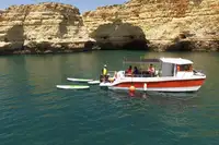 डाइव सपोर्ट बिक्री के लिए