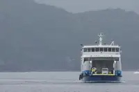 रो-रो जहाज बिक्री के लिए