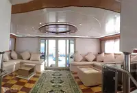 डाइव सपोर्ट बिक्री के लिए