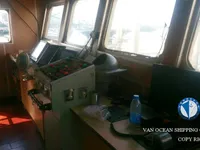 स्क्विड जिगर बिक्री के लिए