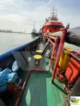 टोबोट बिक्री के लिए