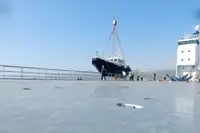 सर्वेक्षण पोत बिक्री के लिए