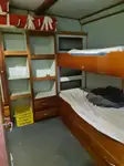 लॉन्गलाइनर बिक्री के लिए