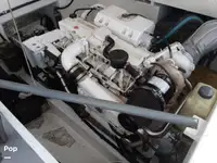 डाइव सपोर्ट बिक्री के लिए