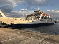 Ro-Ro ship बेचने के लिए