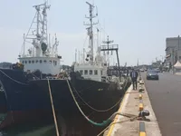 ट्रॉलर बिक्री के लिए