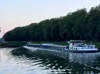 बल्क वाहक बिक्री के लिए