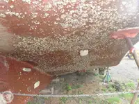 टोबोट बिक्री के लिए