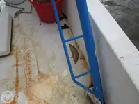 ट्रॉलर बिक्री के लिए
