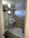ड्रेजर बिक्री के लिए