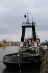 टोबोट बिक्री के लिए