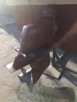 पायलट बोट बिक्री के लिए