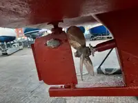 कटर बिक्री के लिए