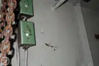 टोबोट बिक्री के लिए