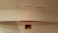 ट्रॉलर बिक्री के लिए