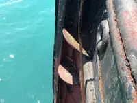 टोबोट बिक्री के लिए