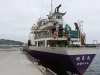 General Cargo/Multi-purpose बिक्री के लिए