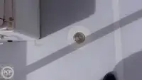 डाइव सपोर्ट बिक्री के लिए