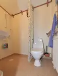 टोबोट बिक्री के लिए