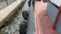 टोबोट बिक्री के लिए