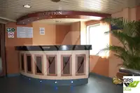 Ro-Ro ship बेचने के लिए