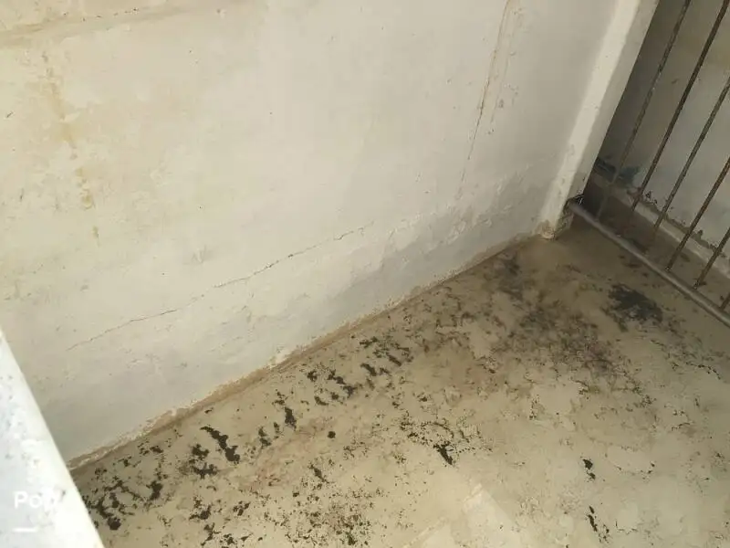 ट्रॉलर बिक्री के लिए