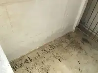 ट्रॉलर बिक्री के लिए