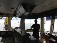 टोबोट बिक्री के लिए