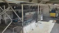 लॉन्गलाइनर बिक्री के लिए
