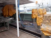 लॉन्गलाइनर बिक्री के लिए
