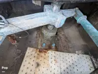 क्रूज फेरी बिक्री के लिए