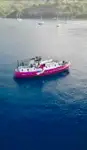 General Cargo/Multi-purpose बिक्री के लिए