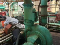 स्क्विड जिगर बिक्री के लिए