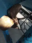पायलट बोट बिक्री के लिए