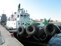 टोबोट बेचने के लिए