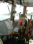 टोबोट बिक्री के लिए