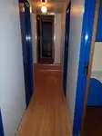 सर्वेक्षण पोत बिक्री के लिए