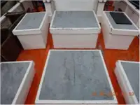 ट्रॉलर बिक्री के लिए