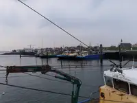 ट्रॉलर बिक्री के लिए