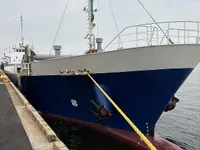 General Cargo/Multi-purpose बिक्री के लिए