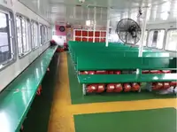 फेरी पोत बिक्री के लिए