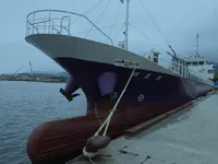 General Cargo/Multi-purpose बिक्री के लिए