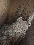 बल्क वाहक बिक्री के लिए
